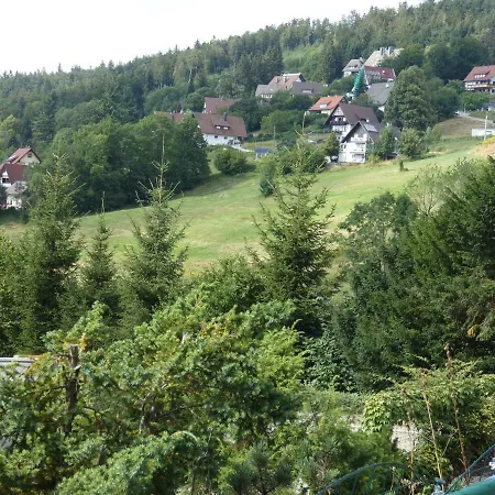 Terrassenpark Black Forest *