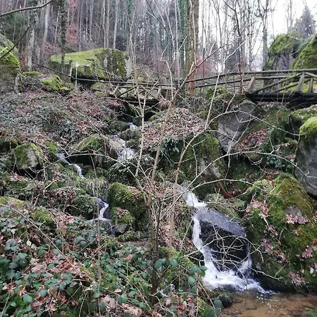 Terrassenpark Black Forest Apartmán Sasbachwalden