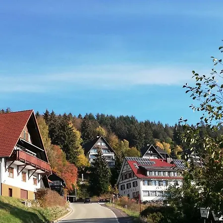 Terrassenpark Black Forest Apartmán *