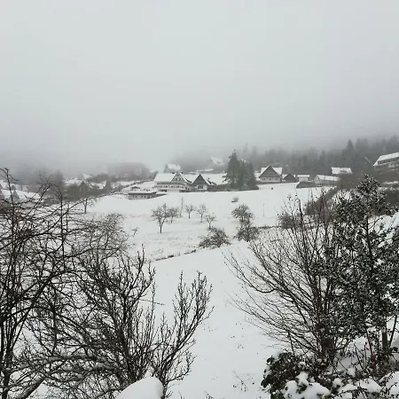 Apartmán Terrassenpark Black Forest