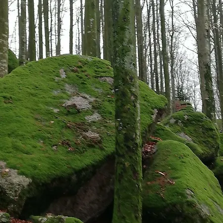 Terrassenpark Black Forest *
